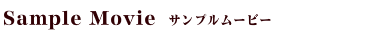エンディングムービー【サンプル】
